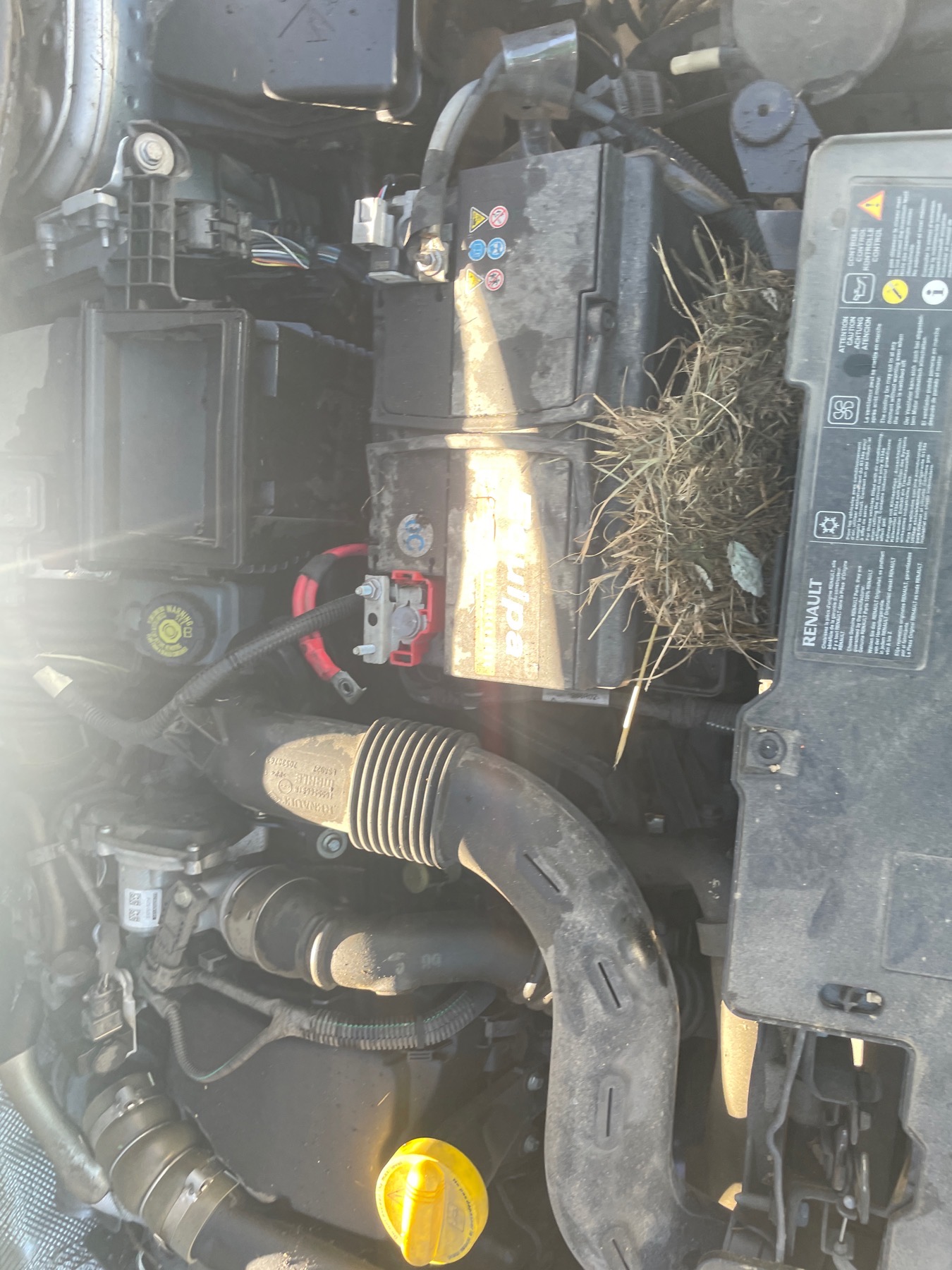 Image RENAULT CLIO 4