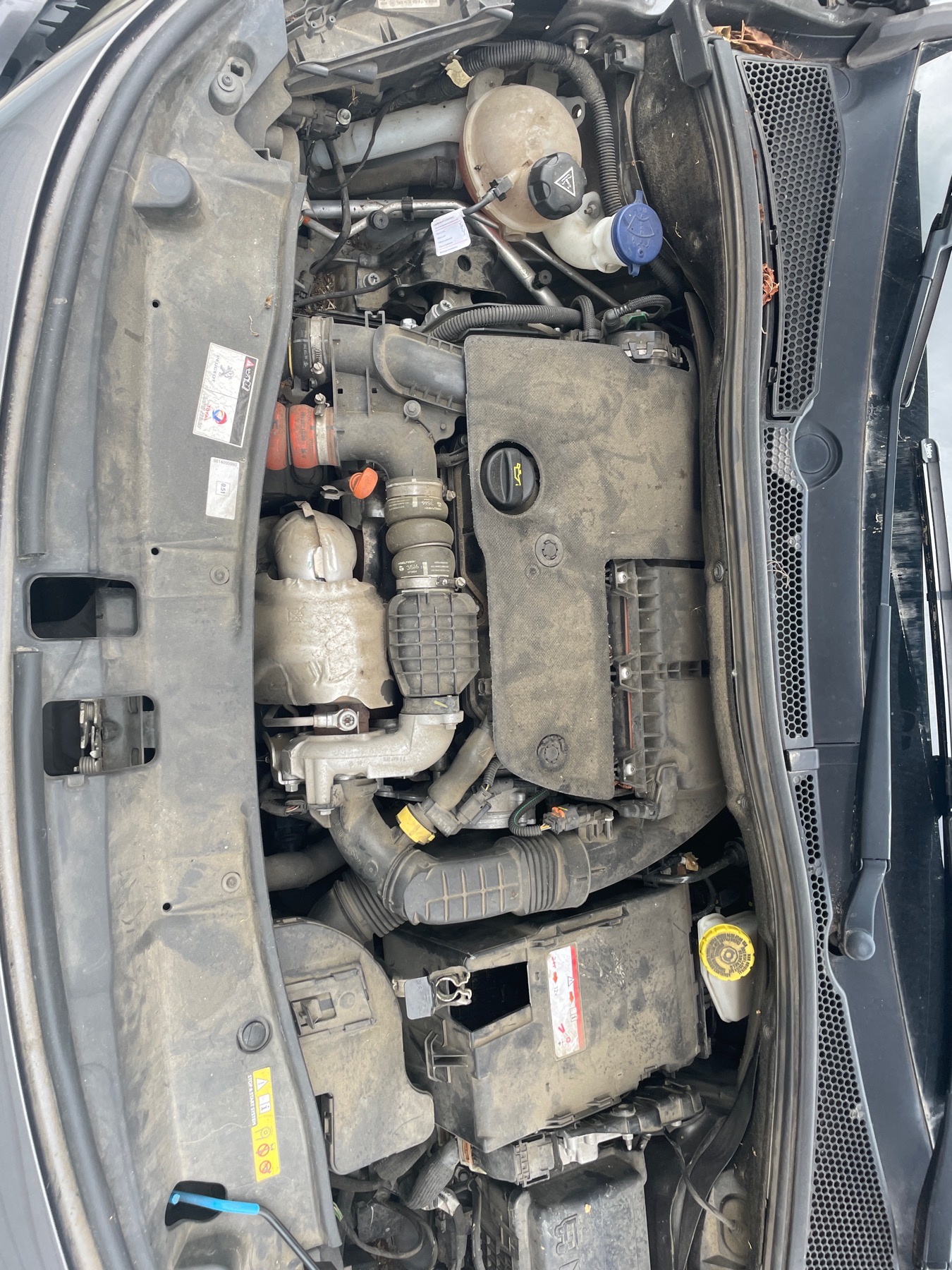 Image PEUGEOT 2008 1