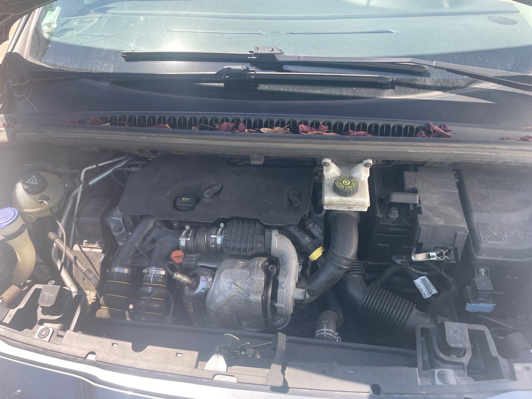 Image PEUGEOT 5008 1