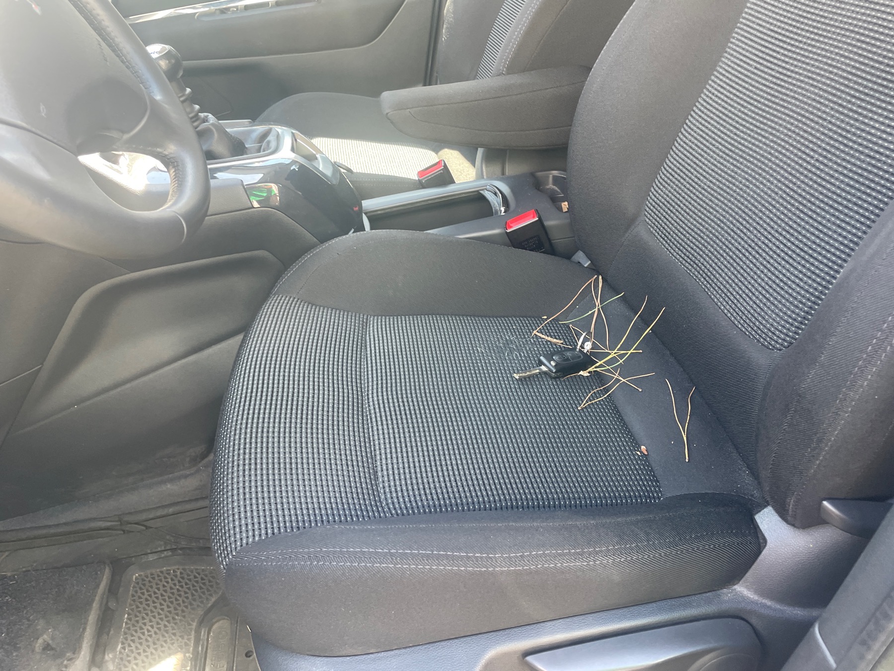 Image PEUGEOT 5008 1