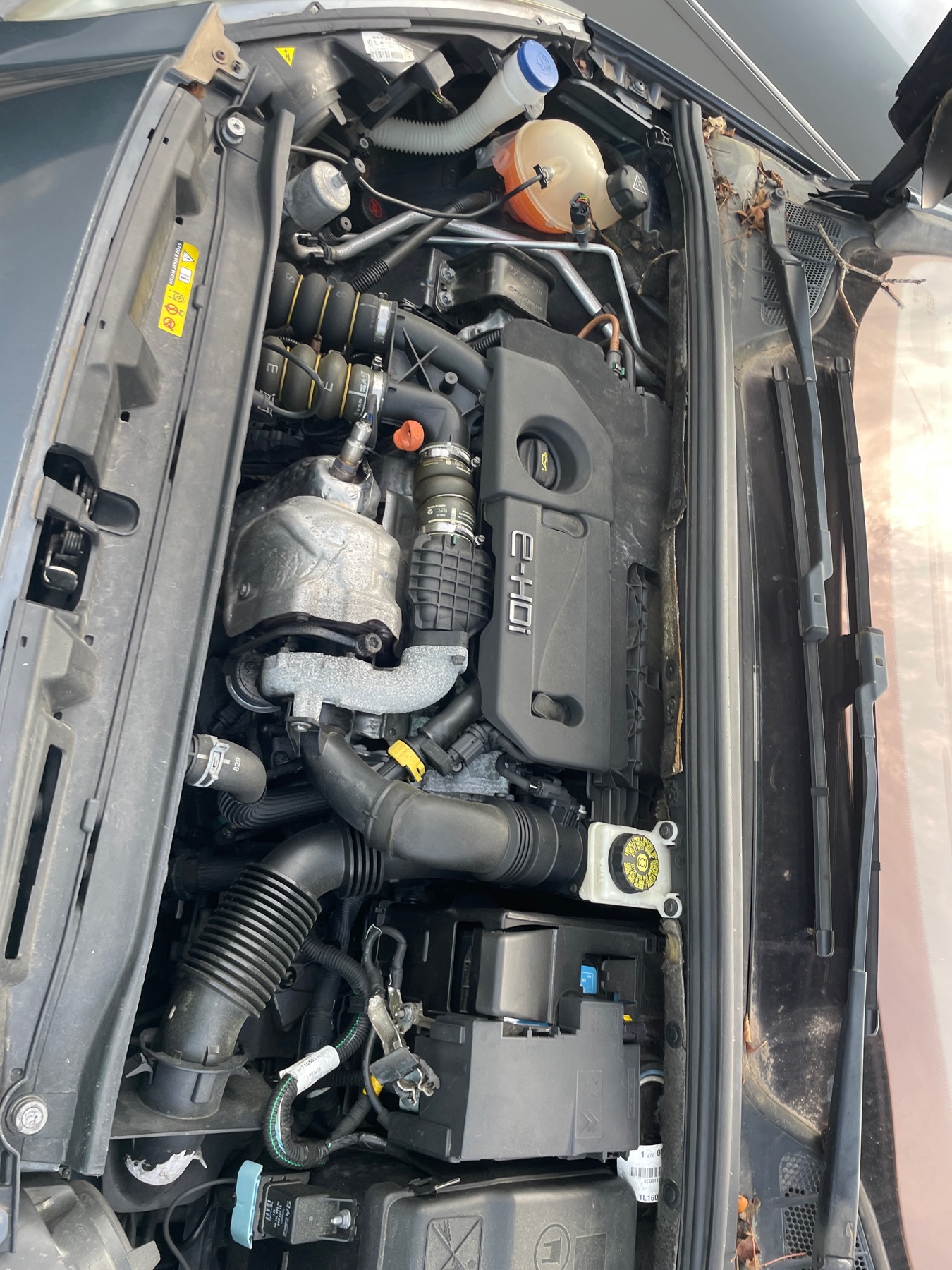 Image PEUGEOT 308 1