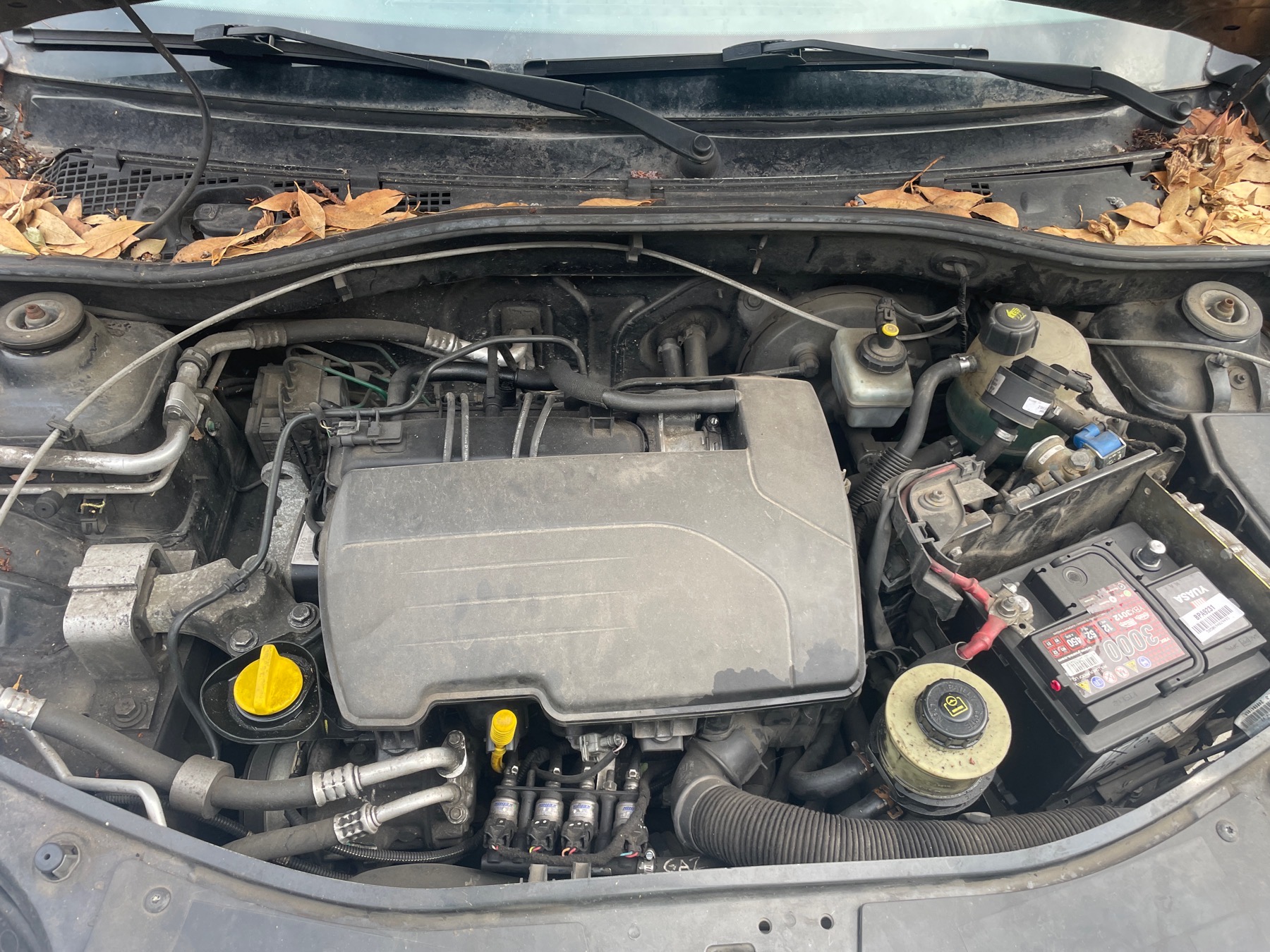 Image DACIA SANDERO 1