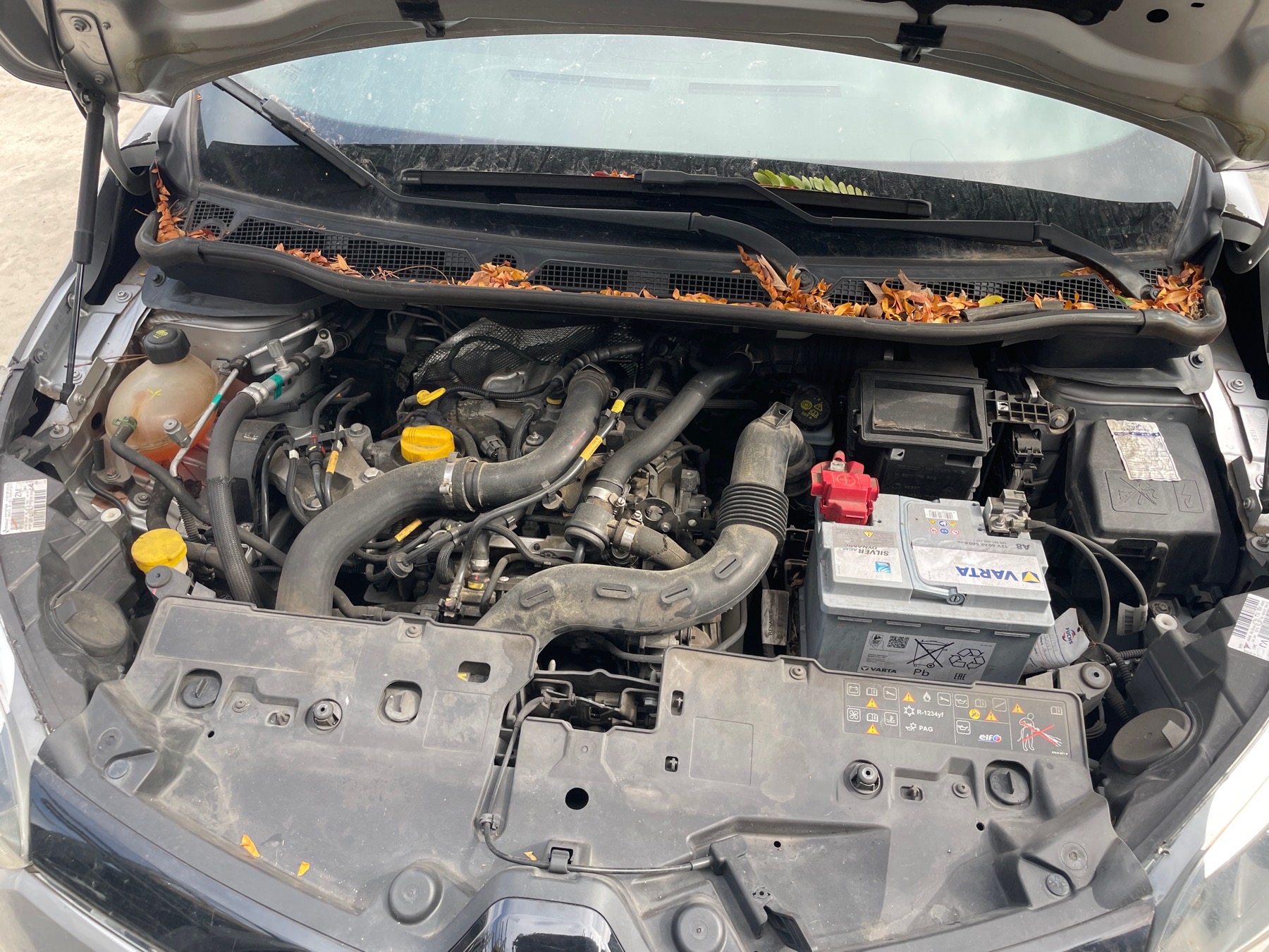 Image RENAULT CAPTUR 1