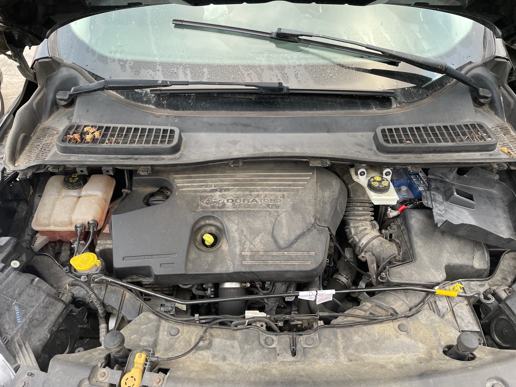 Image FORD KUGA 2