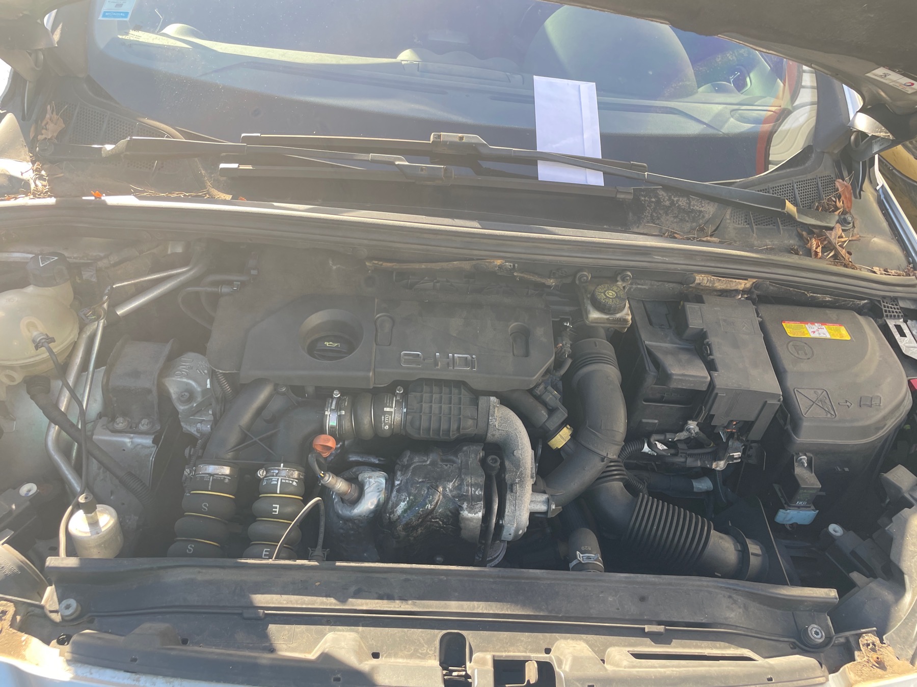Image PEUGEOT 308 1