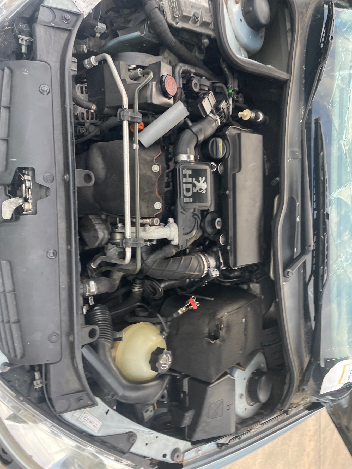 Image PEUGEOT 206