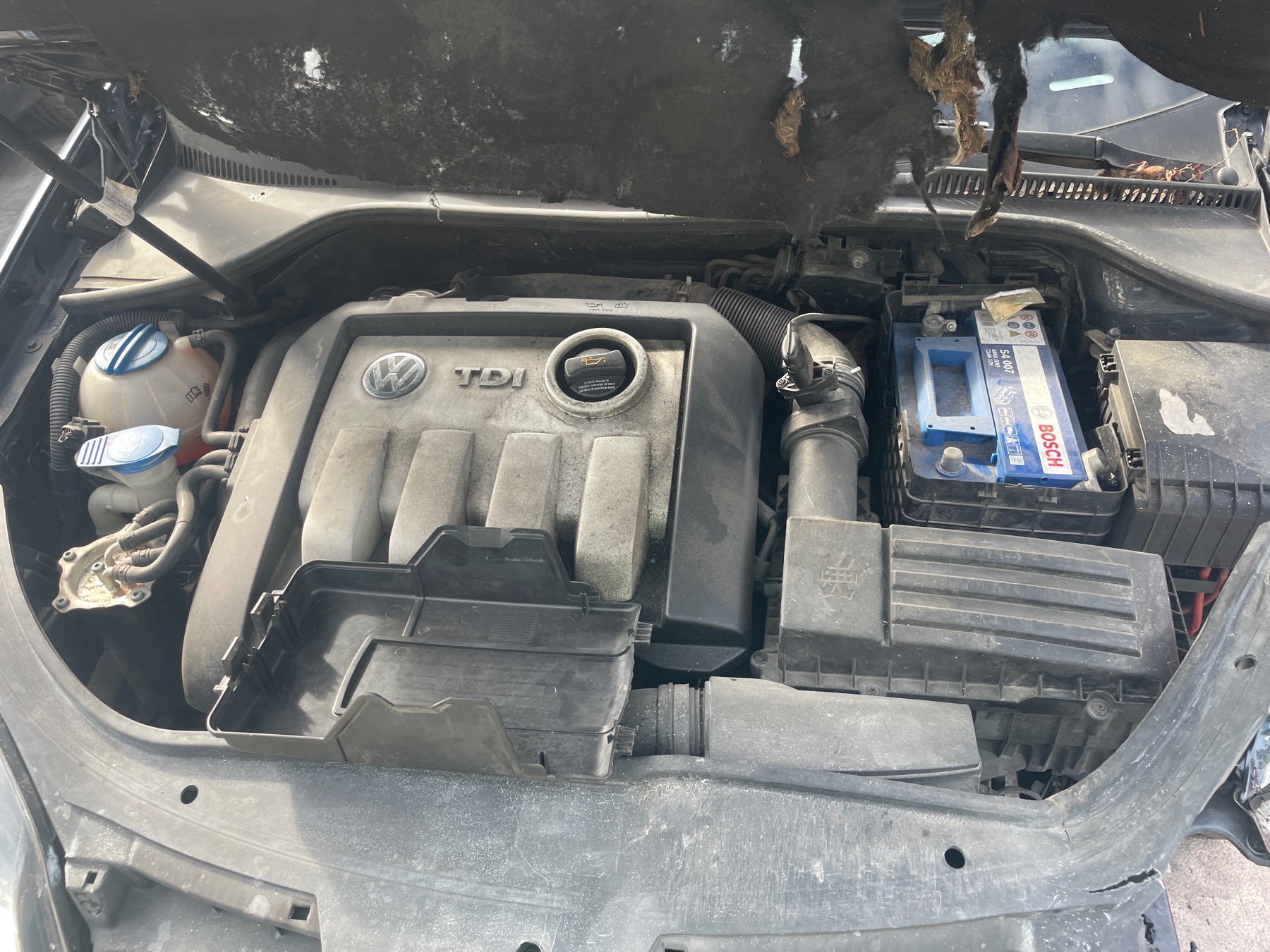 Image VOLKSWAGEN GOLF 5