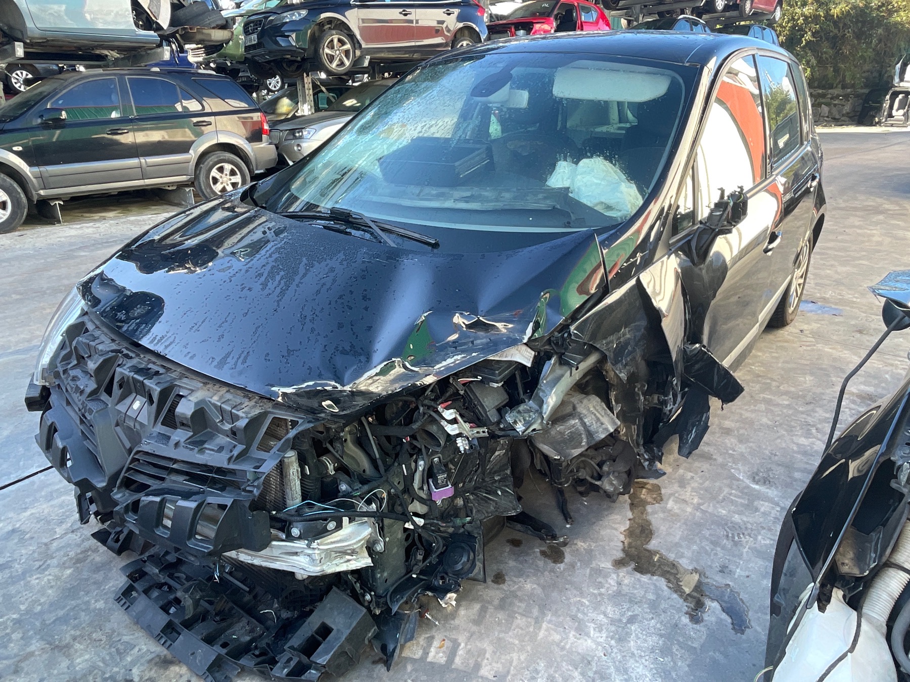 Image RENAULT SCENIC 3