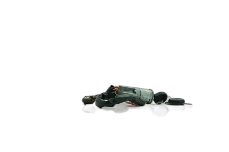 Miniature 5