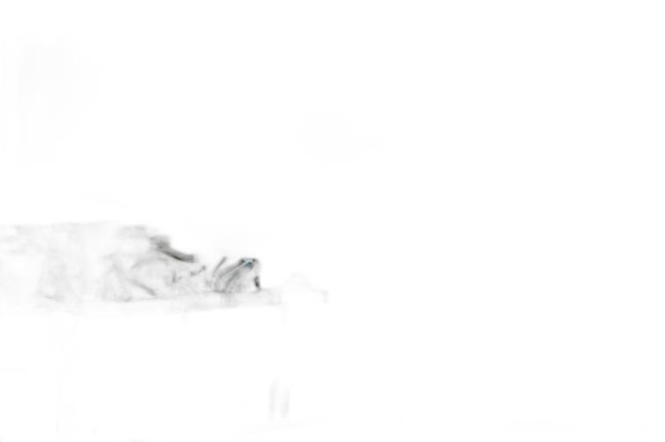 Image produit 5
