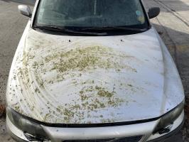 Foto pieza de coche