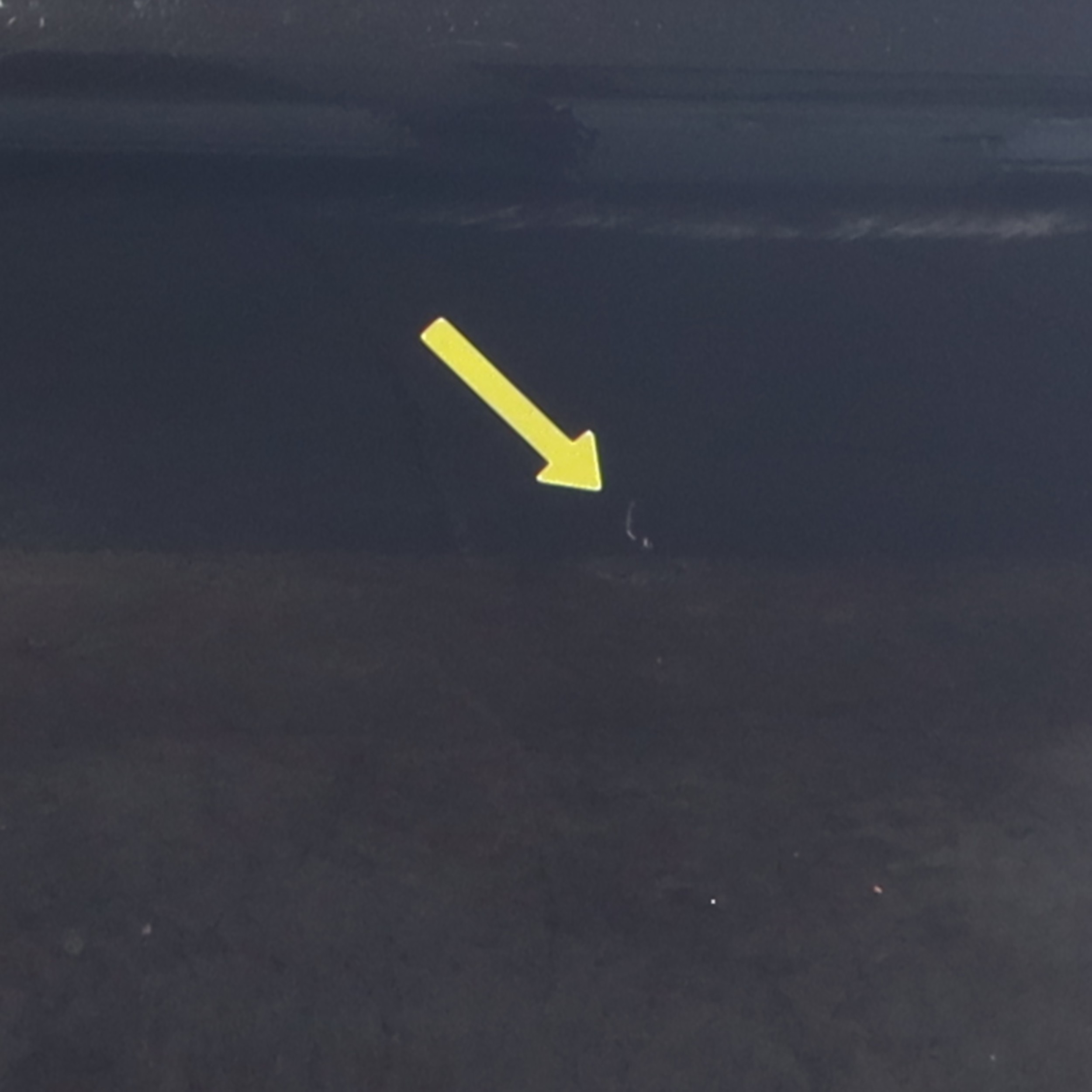 Porte arriere droit pour PEUGEOT 508 1 SW PHASE 1 BREAK Porte arriere droit pour PEUGEOT 508 1 SW PHASE 1 BREAK
