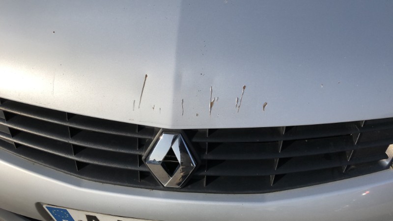 Anti brouillard gauche (feux) pour RENAULT CLIO 2 CAMPUS PHASE 1 Anti brouillard gauche (feux) pour RENAULT CLIO 2 CAMPUS PHASE 1