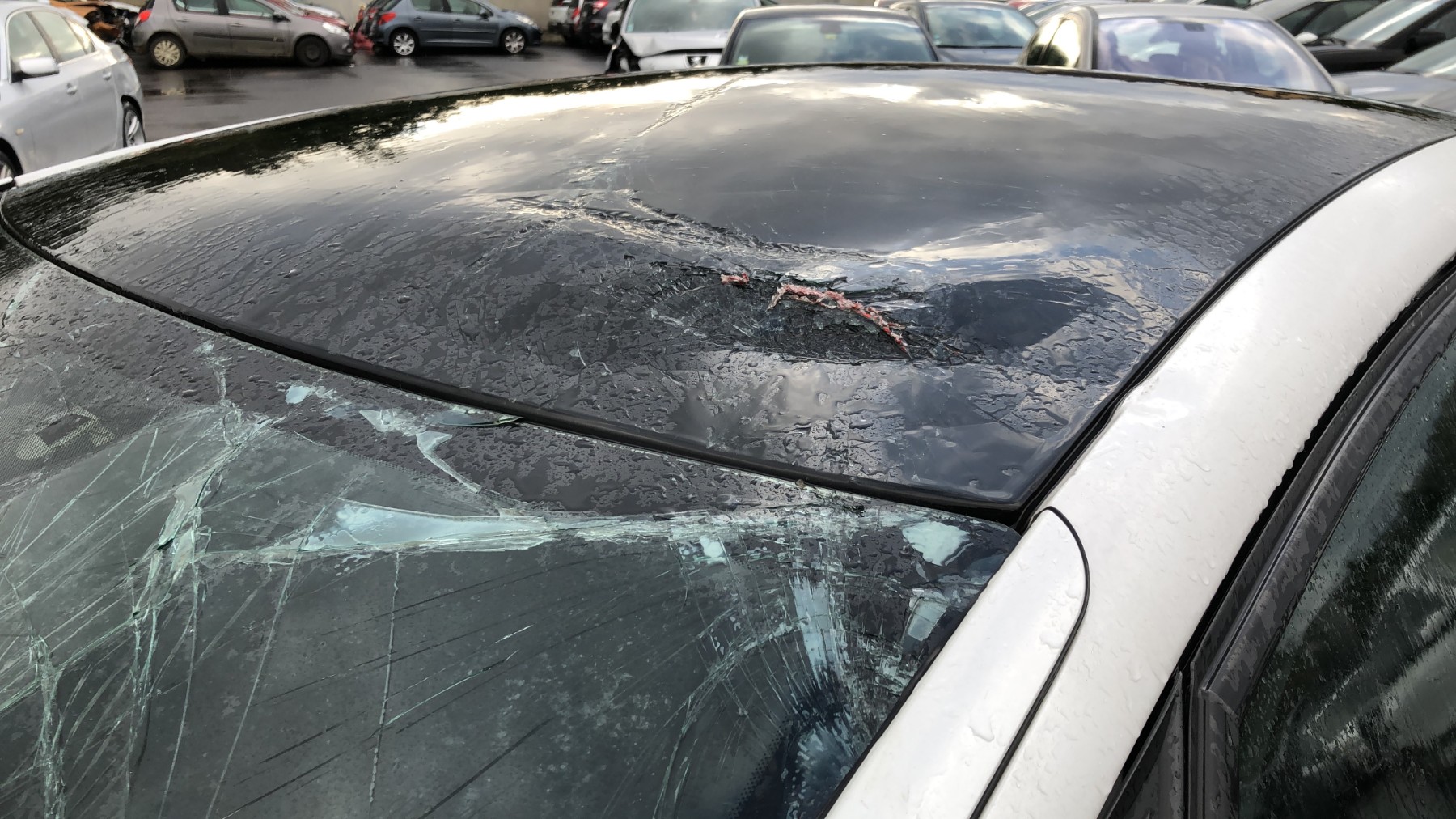 Porte avant droit pour CITROEN DS5 PHASE 1 Porte avant droit pour CITROEN DS5 PHASE 1