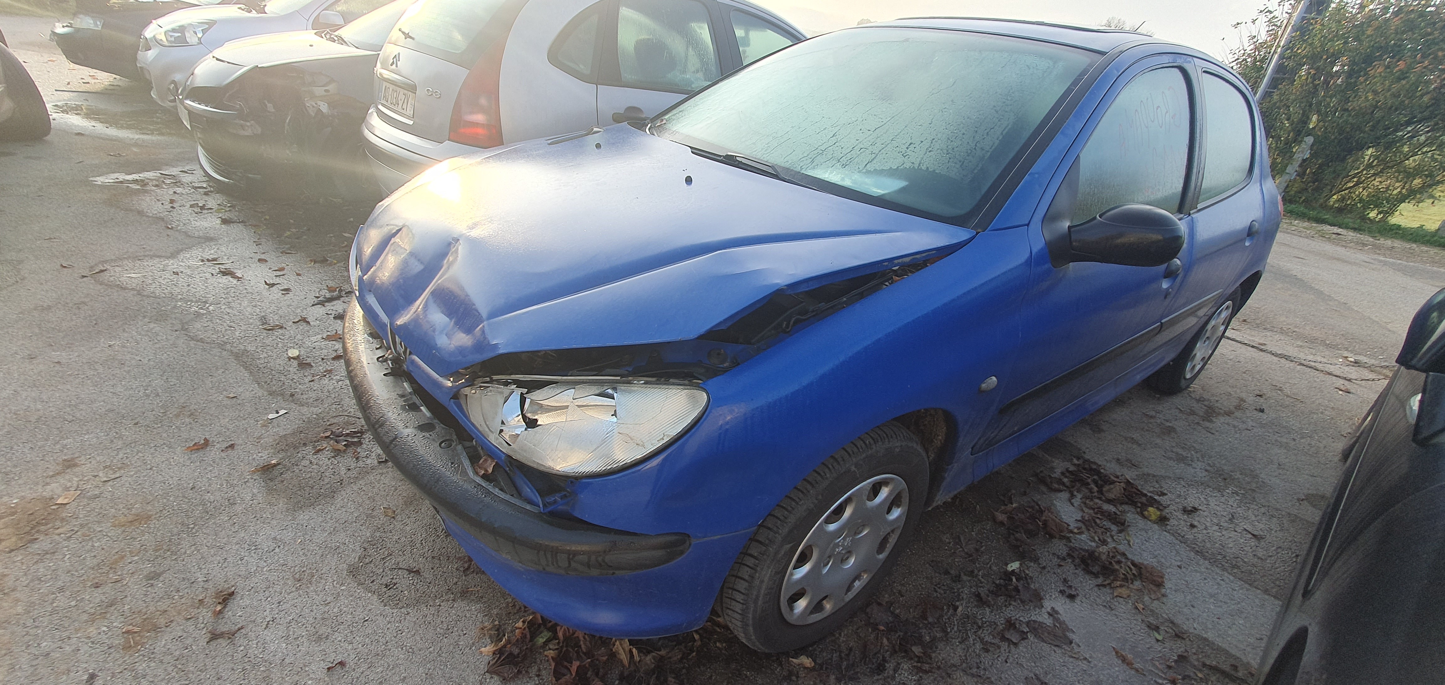 Leve vitre electrique avant gauche pour PEUGEOT 206 PHASE 2 Leve vitre electrique avant gauche pour PEUGEOT 206 PHASE 2