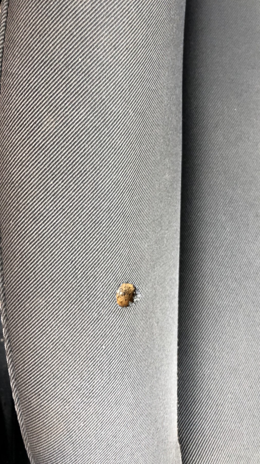 Alternateur pour SEAT LEON 2 PHASE 2 Alternateur pour SEAT LEON 2 PHASE 2