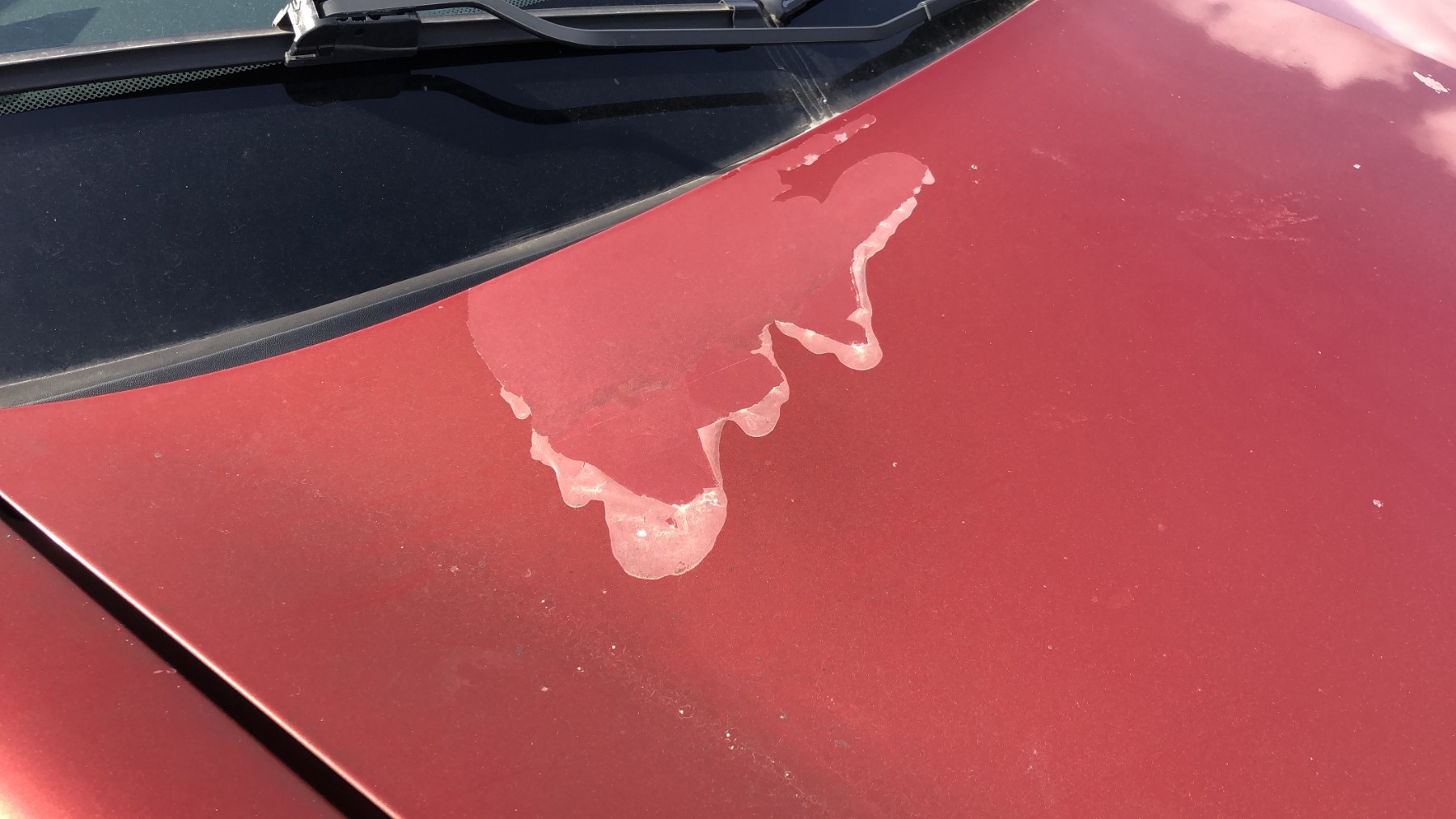 Renfort pare choc arriere (traverse) pour RENAULT MEGANE 2 PHASE 1 CABRIOLET Renfort pare choc arriere (traverse) pour RENAULT MEGANE 2 PHASE 1 CABRIOLET