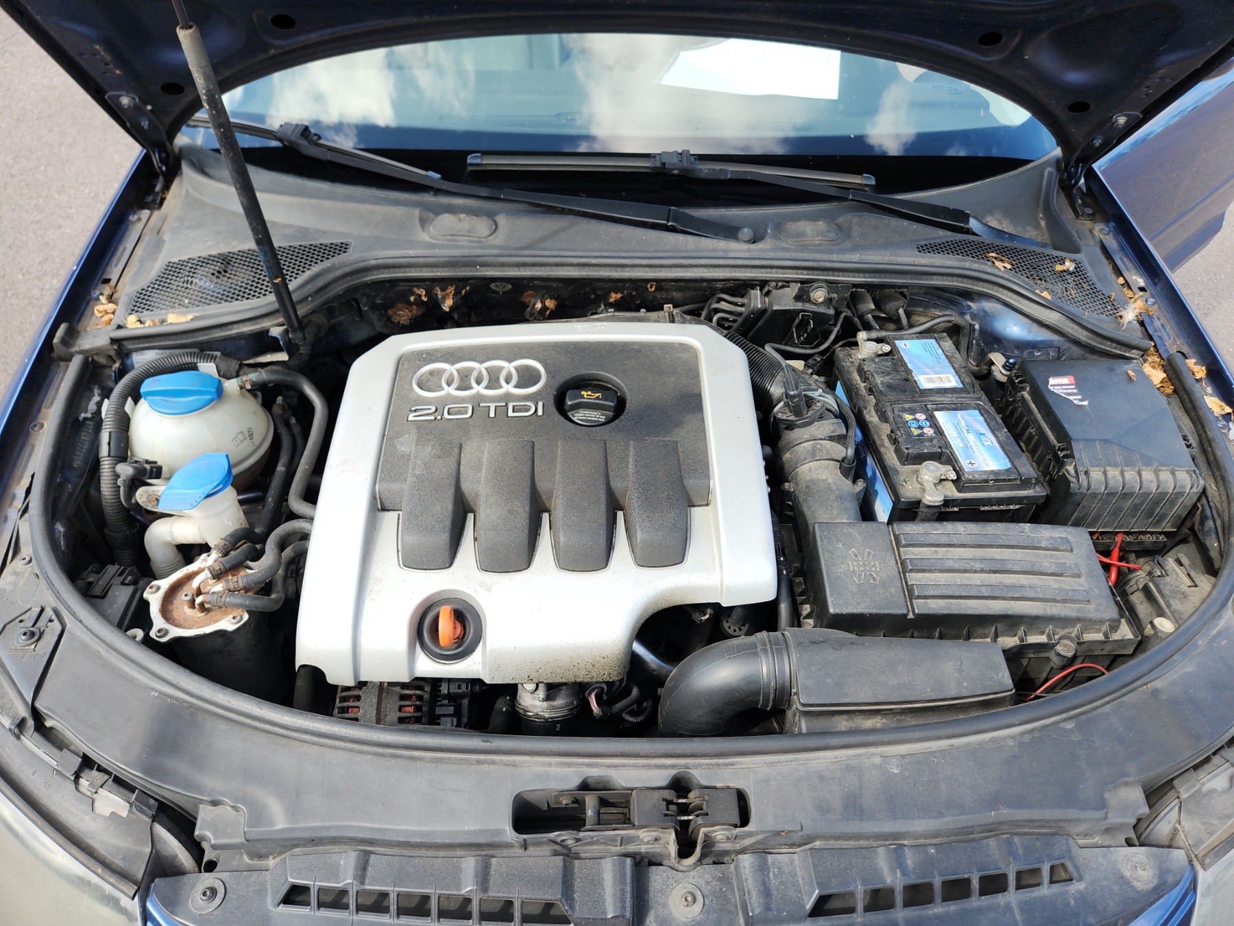 Optique avant principal droit (feux)(phare) pour AUDI A3 2 PHASE 1 Optique avant principal droit (feux)(phare) pour AUDI A3 2 PHASE 1
