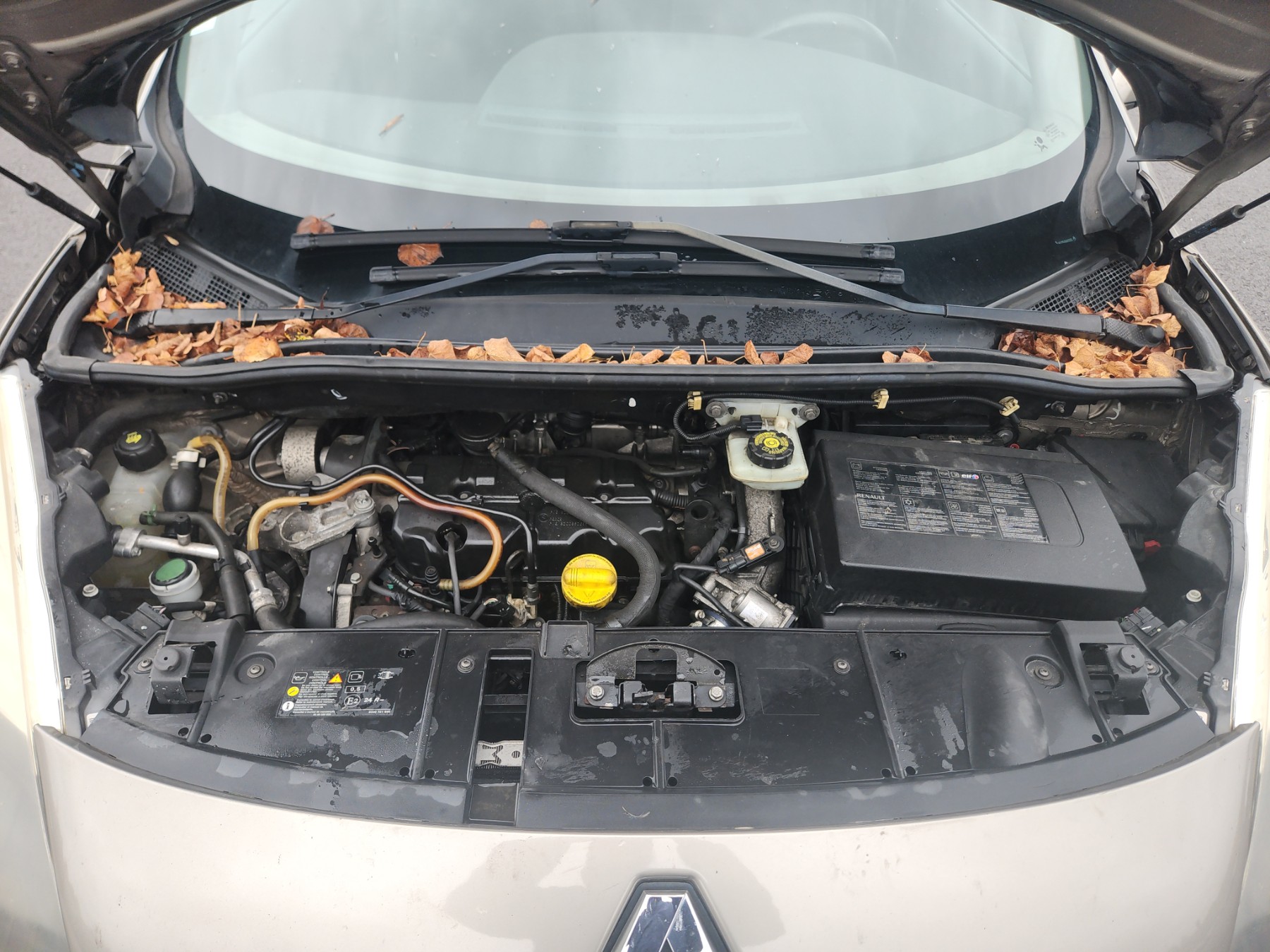 Retroviseur gauche pour RENAULT GRAND SCENIC 3 PHASE 1 Retroviseur gauche pour RENAULT GRAND SCENIC 3 PHASE 1