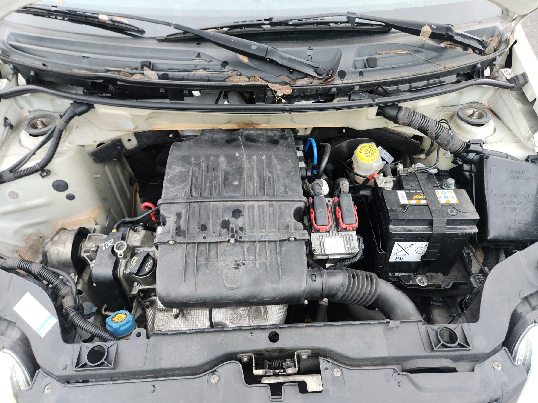 Alternateur pour FIAT PANDA 2 PHASE 2 Alternateur pour FIAT PANDA 2 PHASE 2