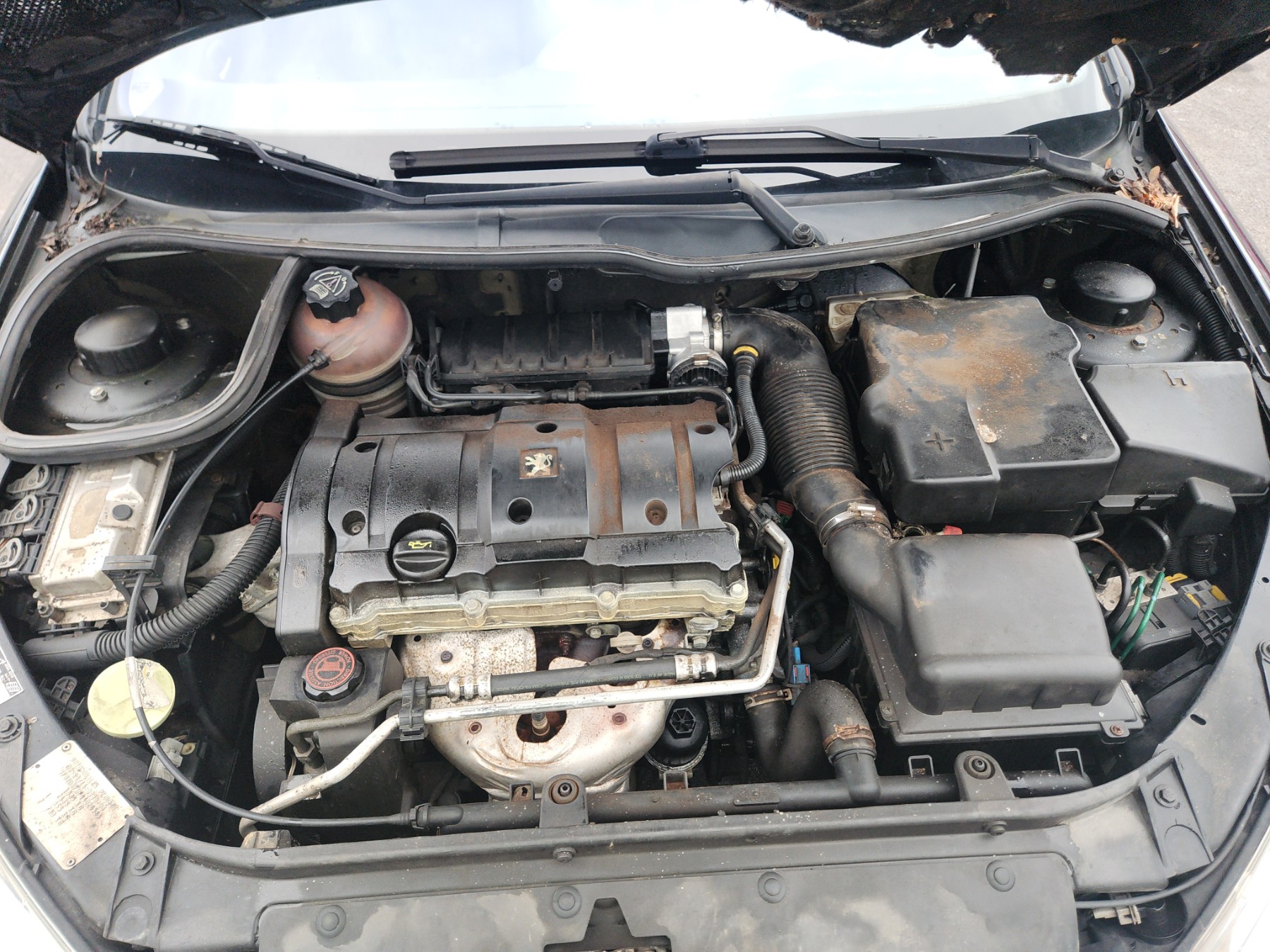 Pare choc avant pour PEUGEOT 206 PHASE 2 CABRIOLET Pare choc avant pour PEUGEOT 206 PHASE 2 CABRIOLET
