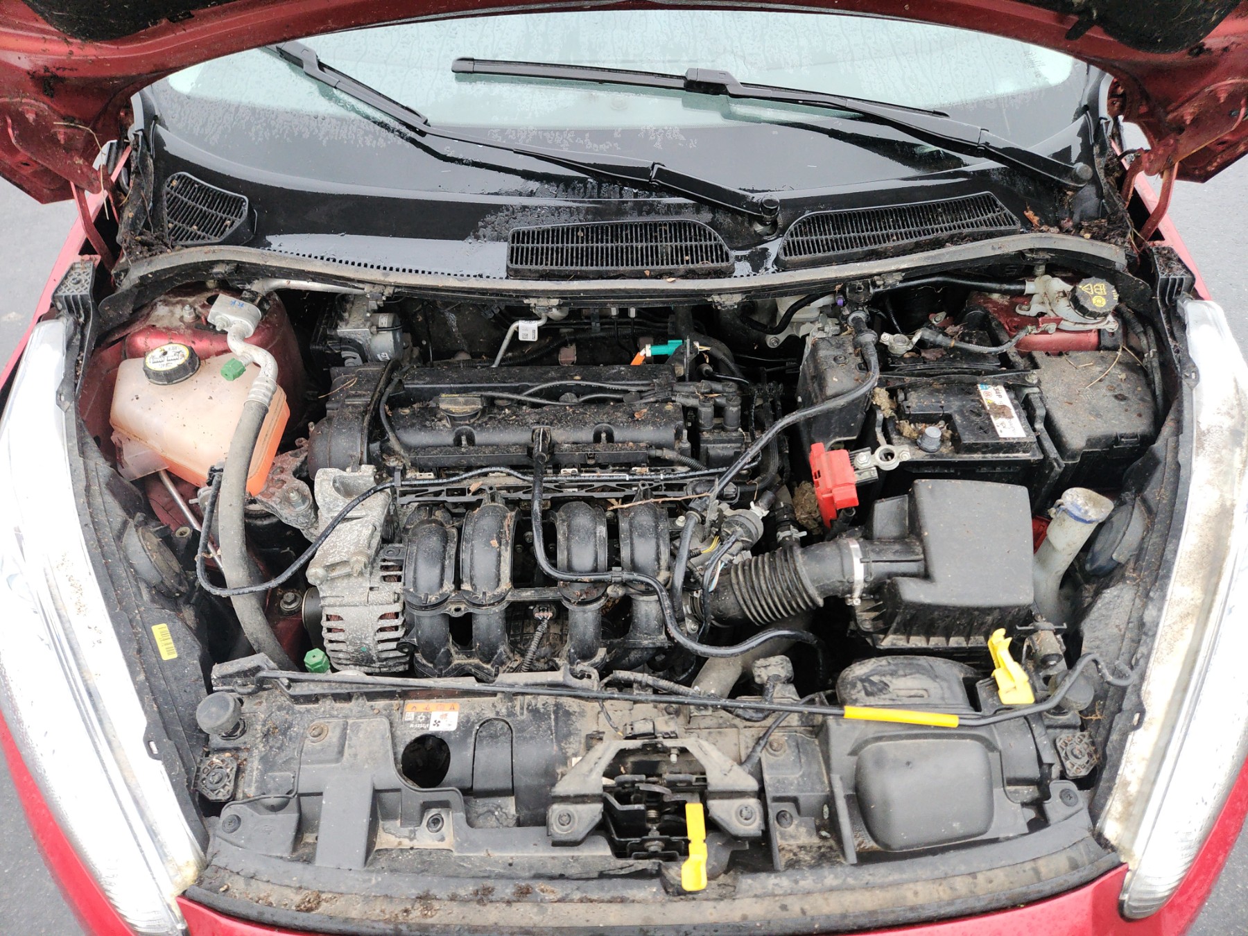 Boite de vitesses pour FORD FIESTA 6 PHASE 2 Boite de vitesses pour FORD FIESTA 6 PHASE 2