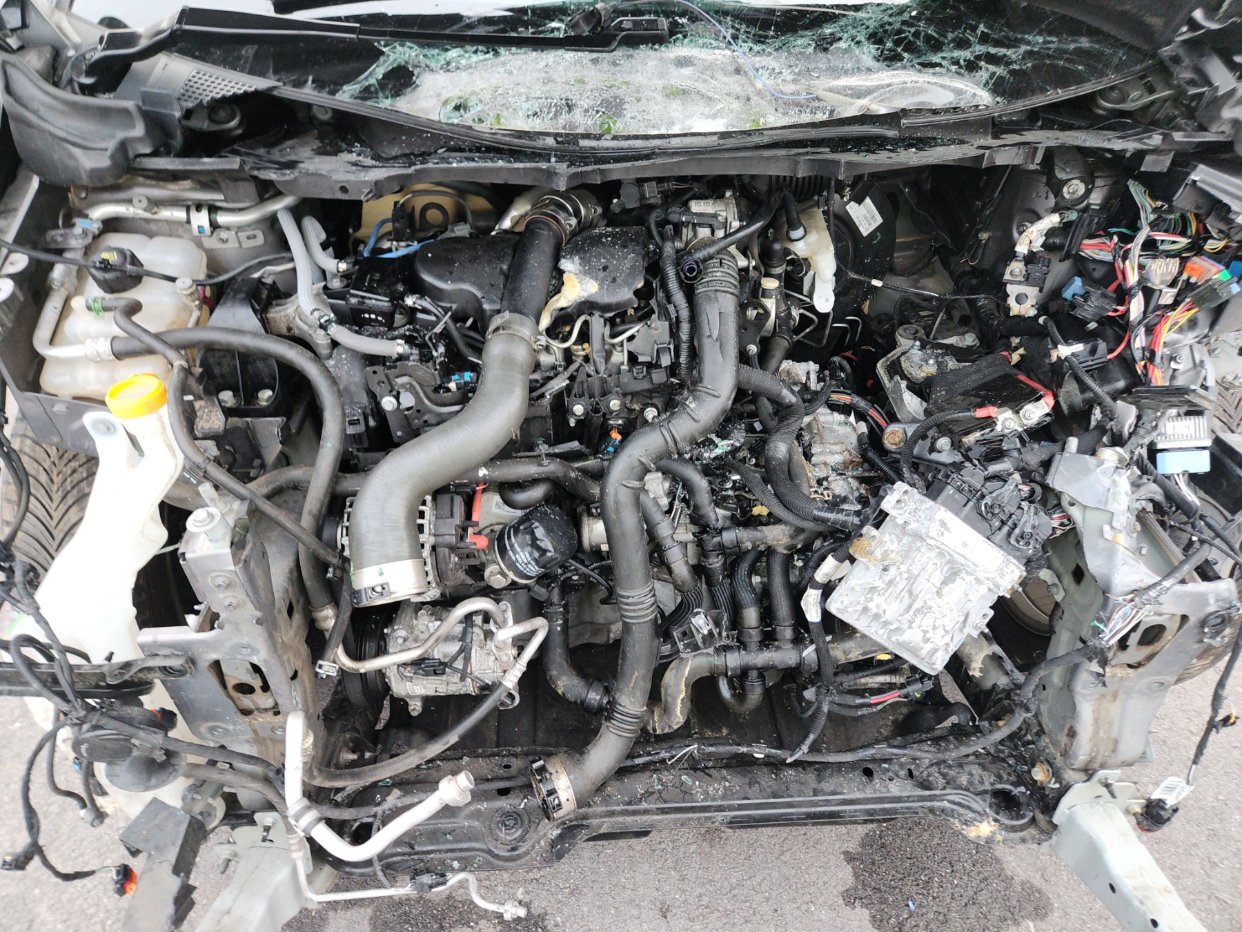 Poignee interieur arriere gauche pour RENAULT SCENIC 4 Poignee interieur arriere gauche pour RENAULT SCENIC 4