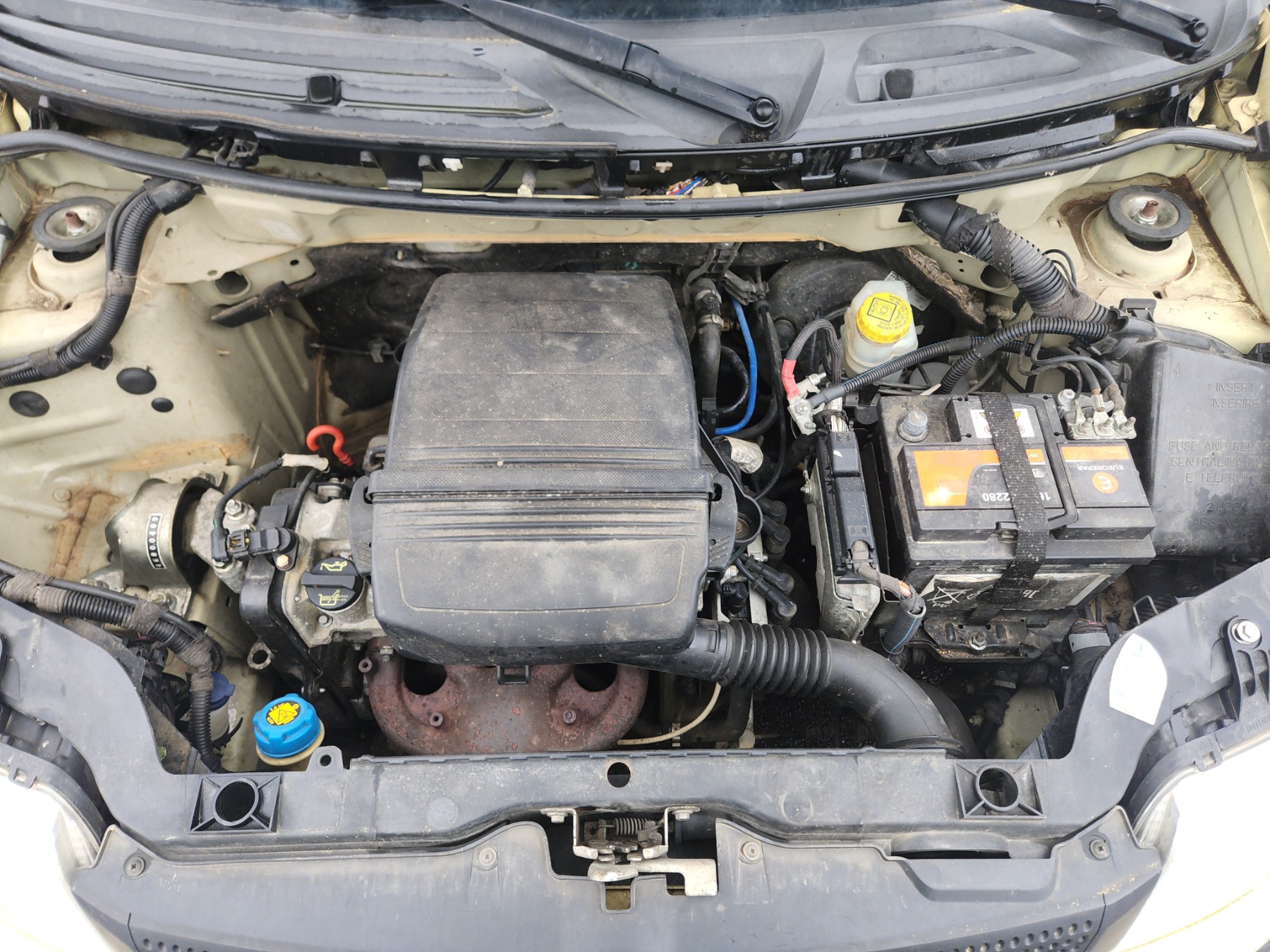 Calandre pour FIAT PANDA II PHASE 2 Calandre pour FIAT PANDA II PHASE 2