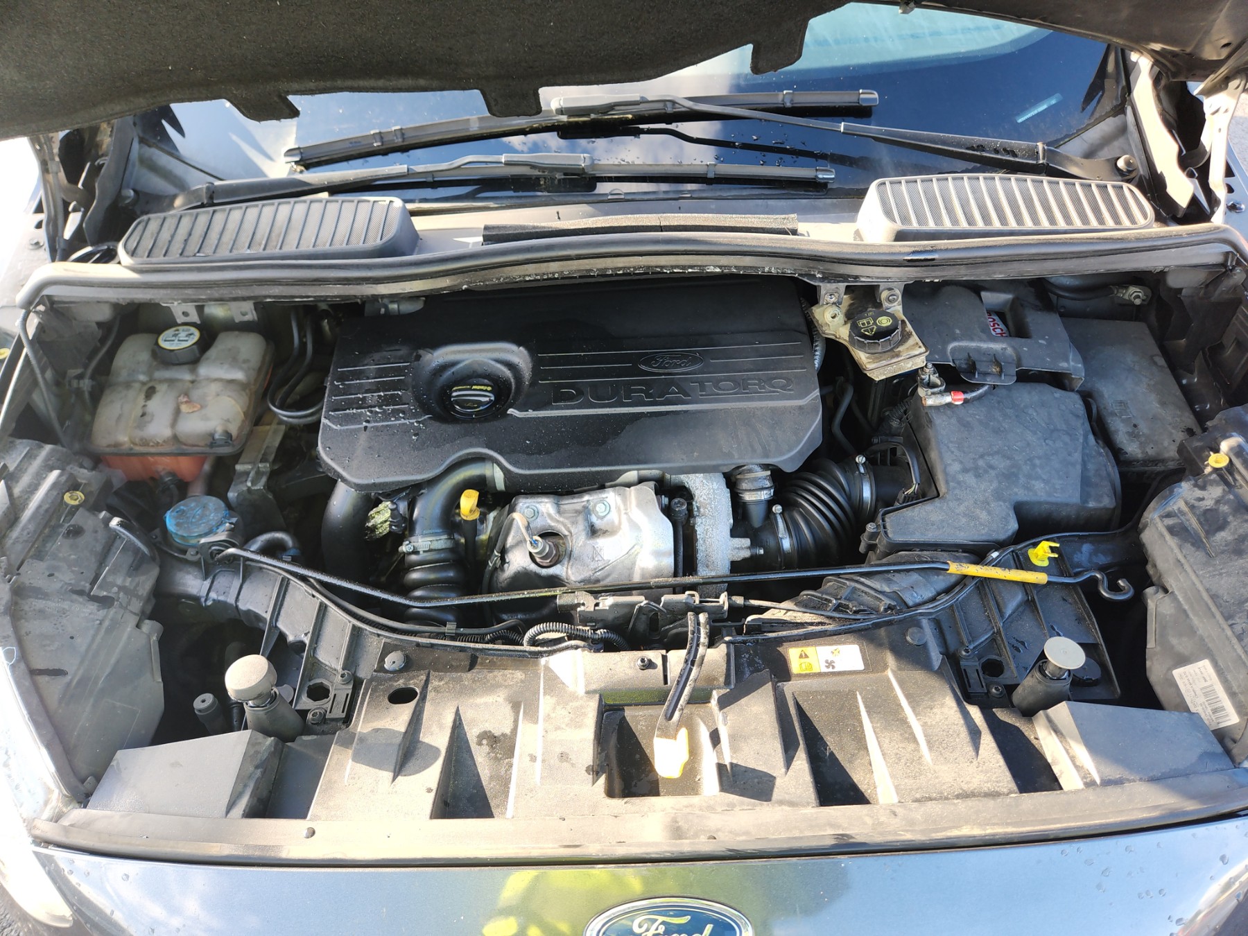 Vitre arriere droit pour FORD C-MAX 2 PHASE 2 Vitre arriere droit pour FORD C-MAX 2 PHASE 2