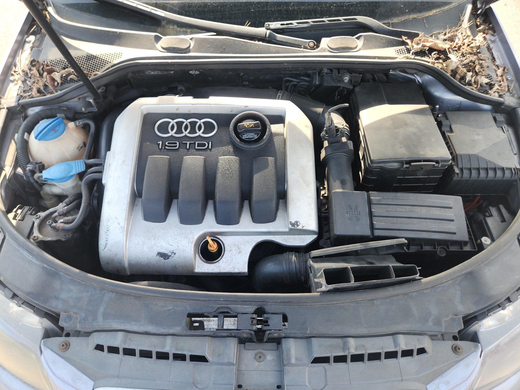 Retroviseur gauche pour AUDI A3 2 SPORTBACK PHASE 1 Retroviseur gauche pour AUDI A3 2 SPORTBACK PHASE 1