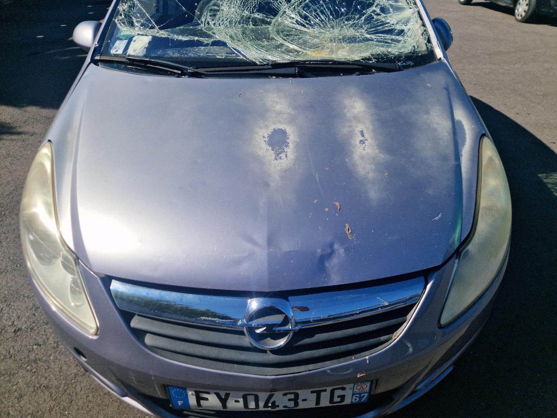 Calandre pour OPEL CORSA D PHASE 1 Calandre pour OPEL CORSA D PHASE 1