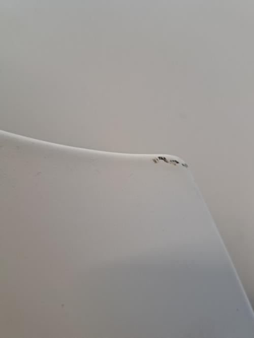 Image Capot - RENAULT KANGOO 2