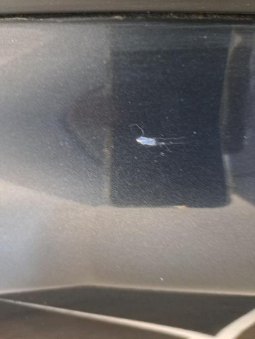 Image Porte avant droit - VOLVO C 30