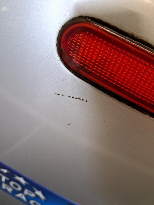 Image Malle/Hayon arriere - VOLKSWAGEN NEW BEETLE 1