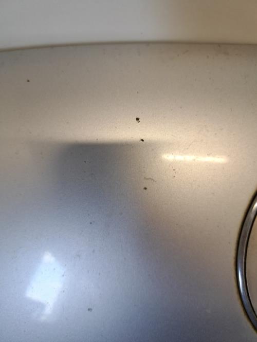 Image Capot - VOLKSWAGEN NEW BEETLE 1