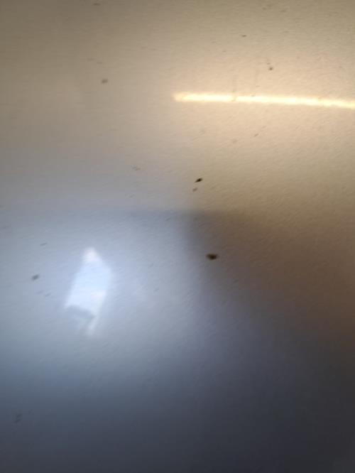 Image Capot - VOLKSWAGEN NEW BEETLE 1