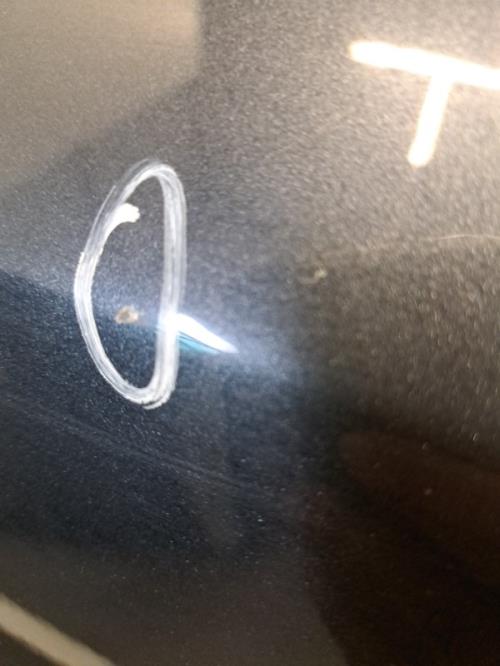 Image Porte arriere gauche - RENAULT FLUENCE