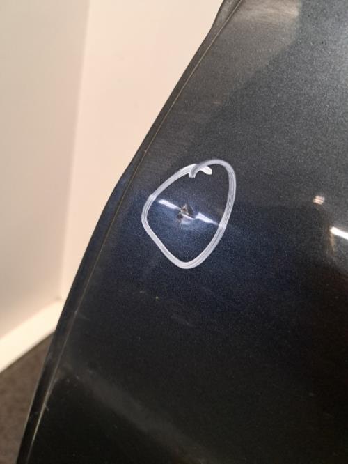 Image Porte arriere gauche - DACIA LOGAN MCV 1
