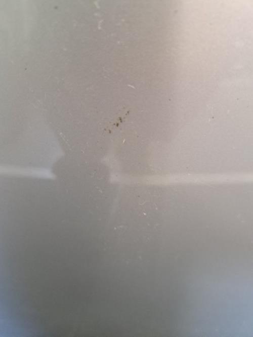 Image Capot - CITROEN C1 1