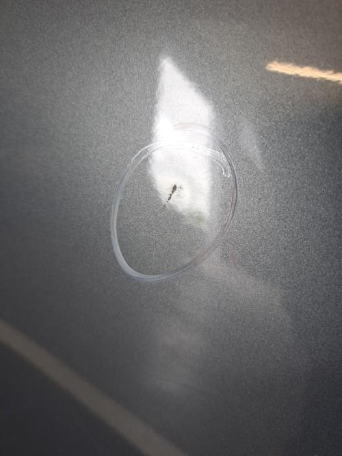 Image Porte arriere gauche - NISSAN QASHQAI 1