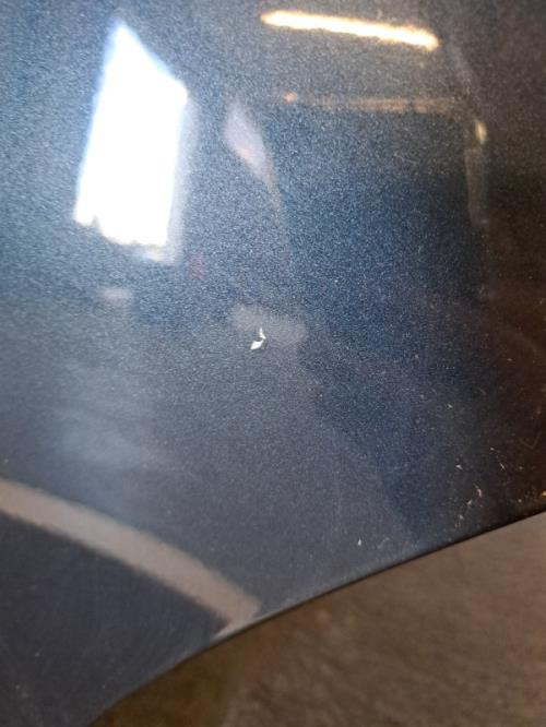 Image Porte arriere gauche - CITROEN C4 1
