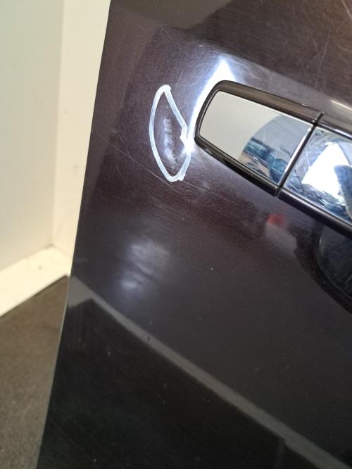Image Porte avant droit - OPEL INSIGNIA 1