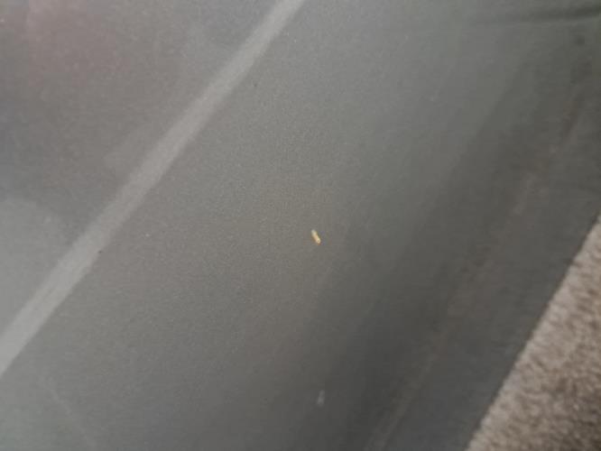 Image Porte arriere gauche - FORD MONDEO 3