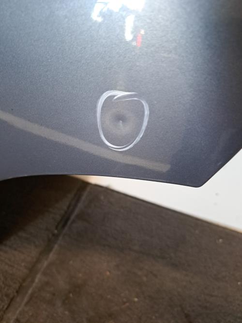 Image Porte arriere gauche - NISSAN QASHQAI 1