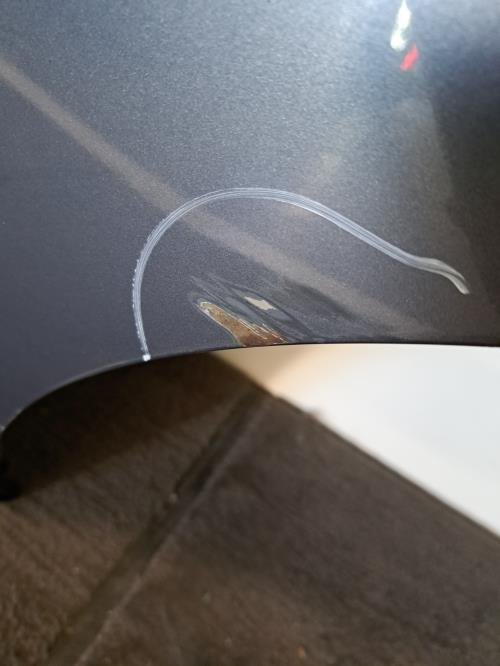 Image Porte arriere gauche - NISSAN QASHQAI 1