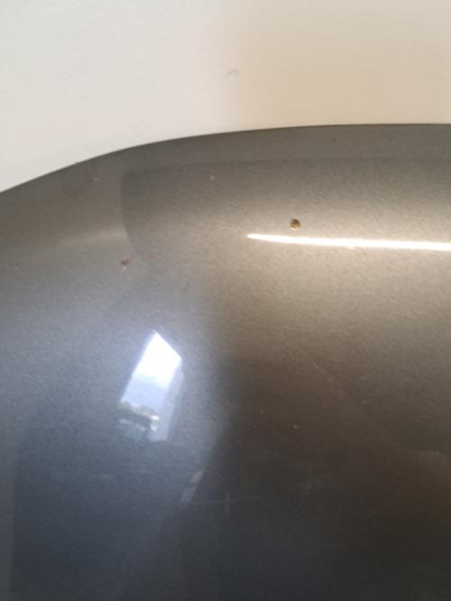 Image Capot - PEUGEOT 406