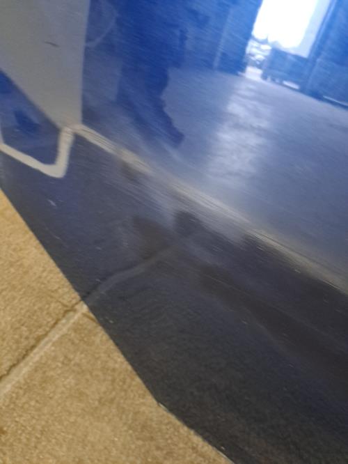 Image Porte arriere droit - FORD FOCUS 3