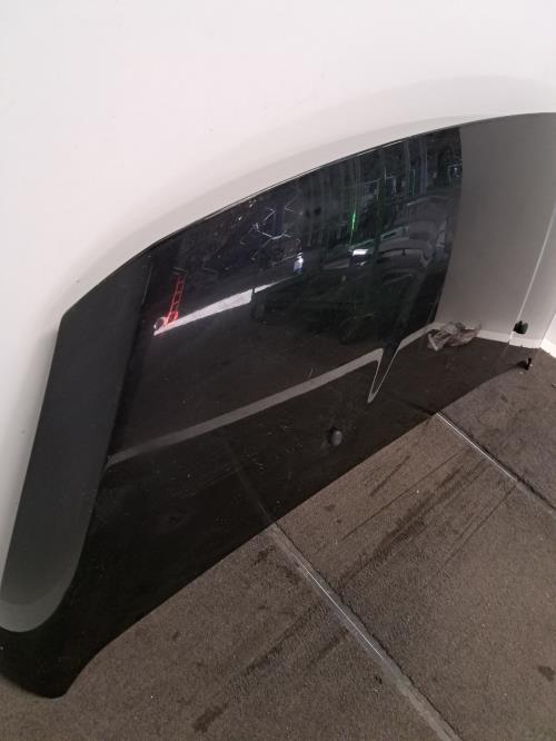 Image Capot - PEUGEOT 3008 1