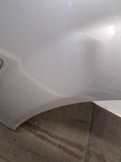 Image Porte arriere gauche - NISSAN X-TRAIL 1