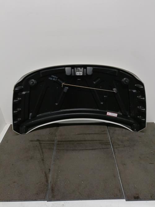 Image Capot - MICROCAR M.GO